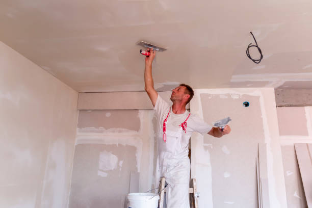 Best Drywall Texturing  in Jonesville, MI