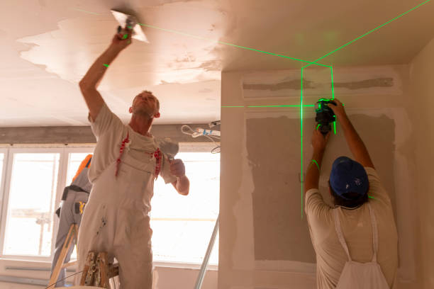 Best Drywall Installation  in Jonesville, MI